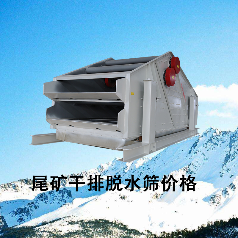 尾礦干排脫水篩價(jià)格.jpg