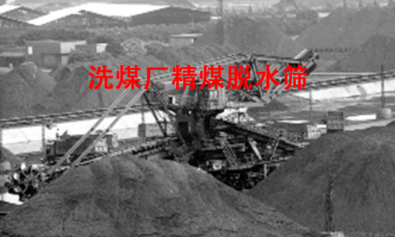 洗煤廠精煤脫水篩.jpg