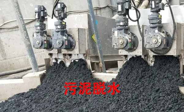 污泥脫水.png