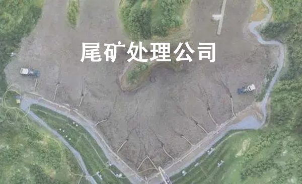尾礦處理公司.png
