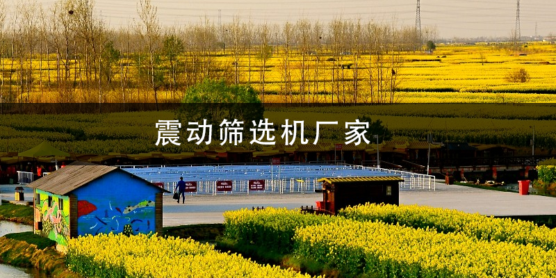 震動(dòng)篩選機(jī)廠家.png