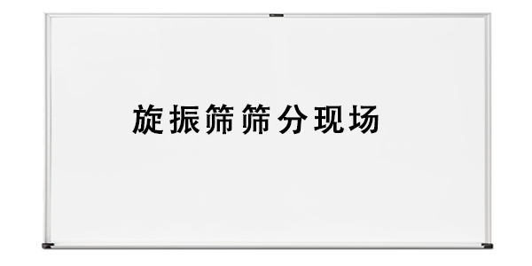 旋振篩篩分現(xiàn)場(chǎng).png
