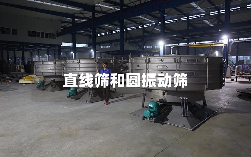 直線篩和圓振動(dòng)篩